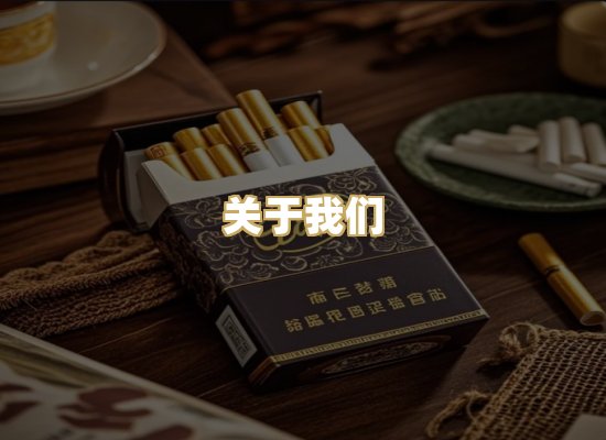 关于我们